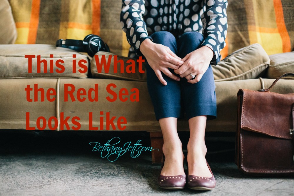 This is What the Red Sea Looks Like
